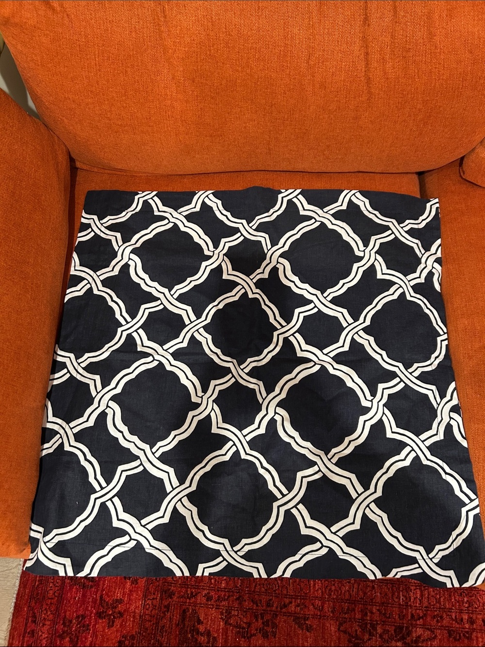 Pottery Barn Navy and White Pair of Shams